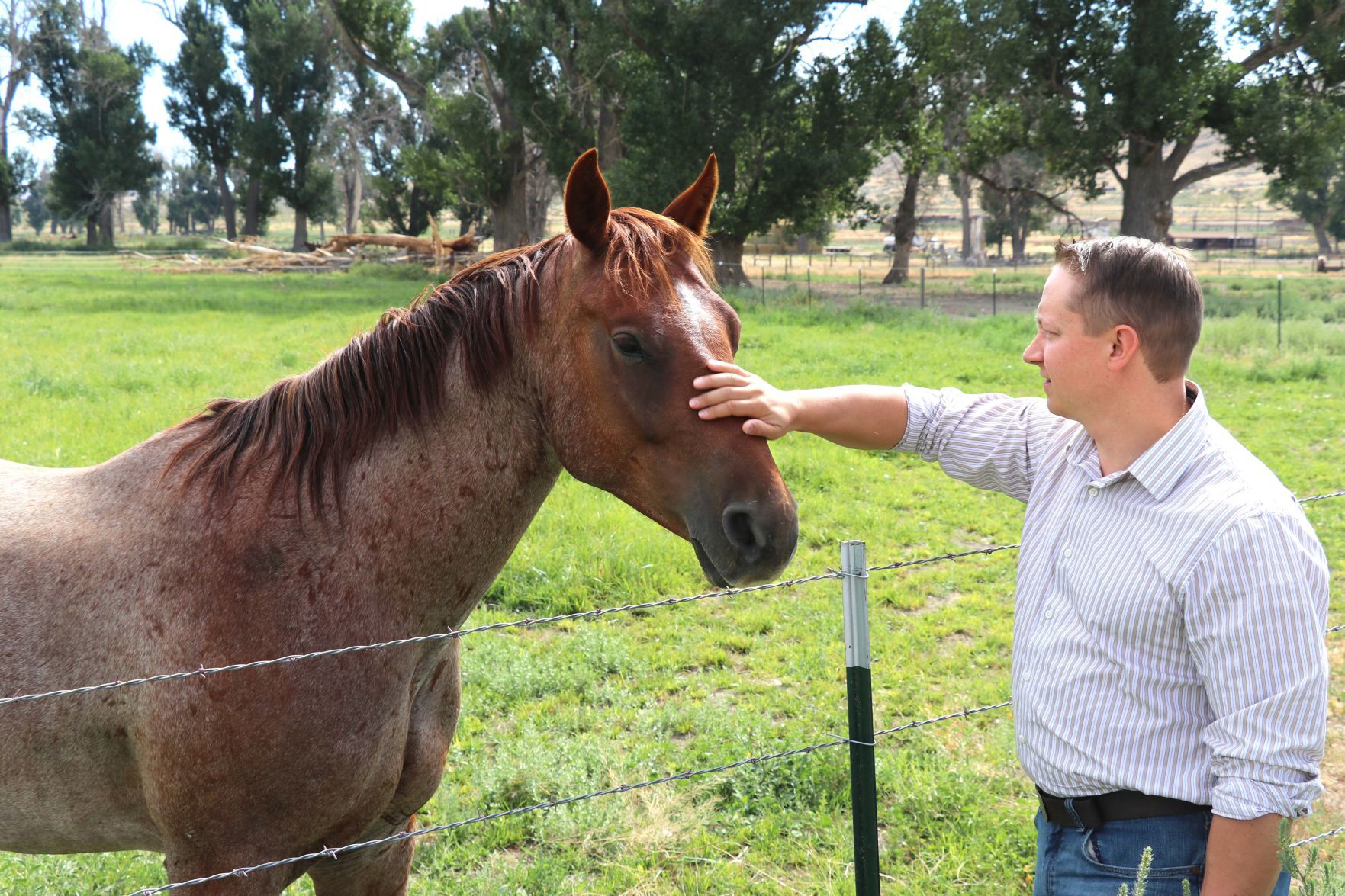 NGM Ranches - Donalson and horse